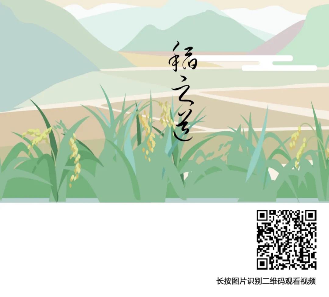 20201113guanyan3.jpg